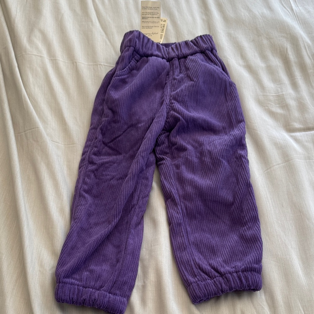 Purple pants